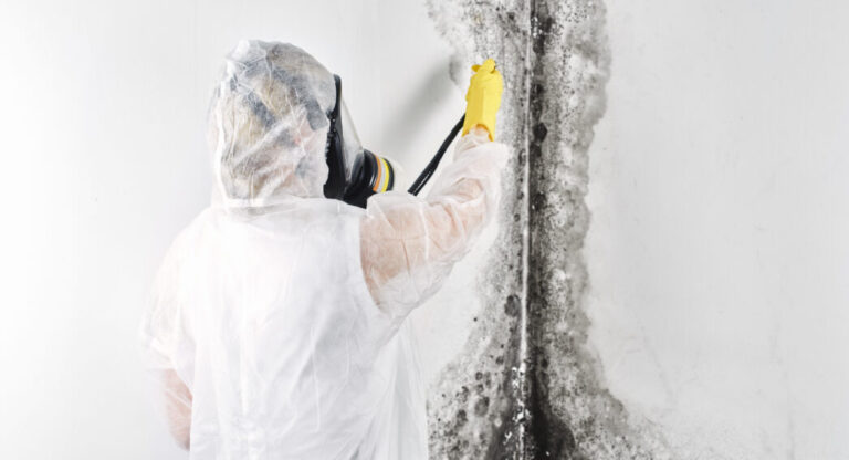 Professionnel en combinaison blanche traitant les moisissures murales