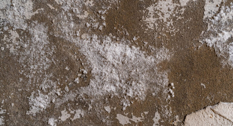 Salpêtre sur mur causé par l’humidité