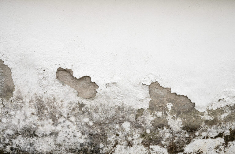 Mur dégradé par l’humidité et moisissures