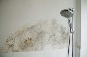 Comment enlever la moisissure dans une salle de bain ?