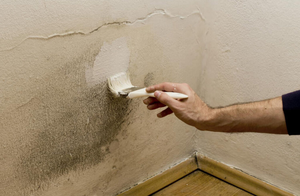 Traiter soi-même l’humidité des murs : à éviter