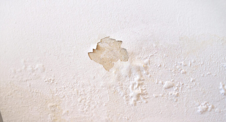 Traitement anti-salpêtre : éliminez les traces et protégez vos murs durablement